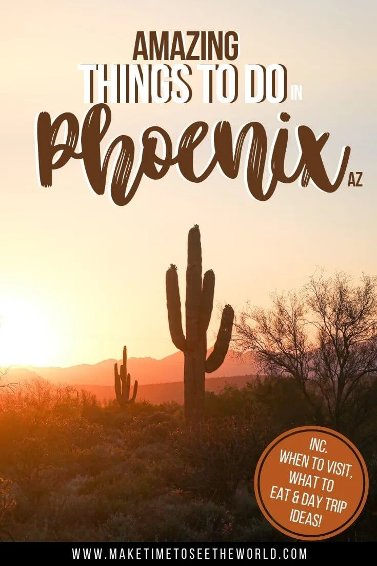 Amazing Things to do in Phoenix Arizonapin image of silohuette of a cactus in a field surrounded by small shrubs at sunset