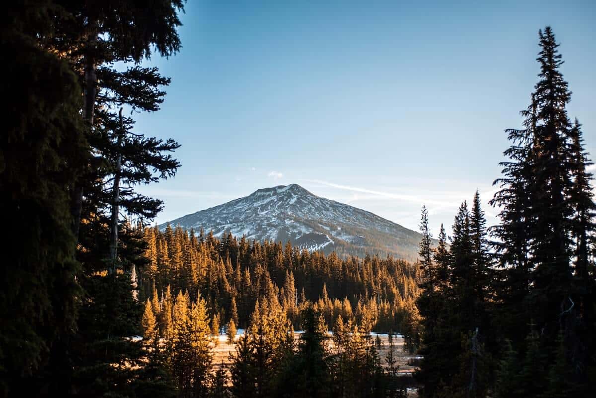 Best Things to do in Bend Oregon cover photo of a view through fir trees with Mt Bachelor in the distance at golden hour