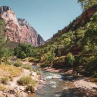 Best Things to do in Zion National Park cover photo of the river running through the valley of Zion NP