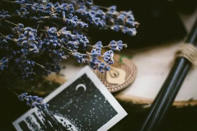 Gothic postcard on a wooden table next to a jar of lavender