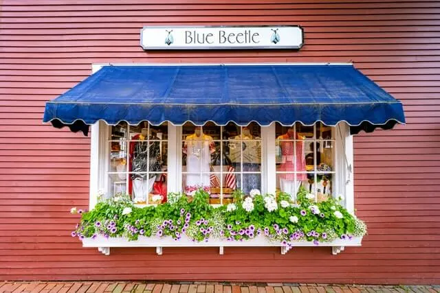 Blue Beetle Nantucket