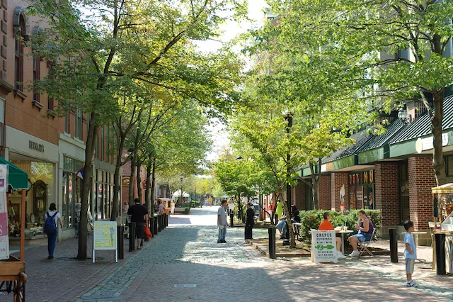 Tree Lined Essex Street Pedestrian Mall Salem