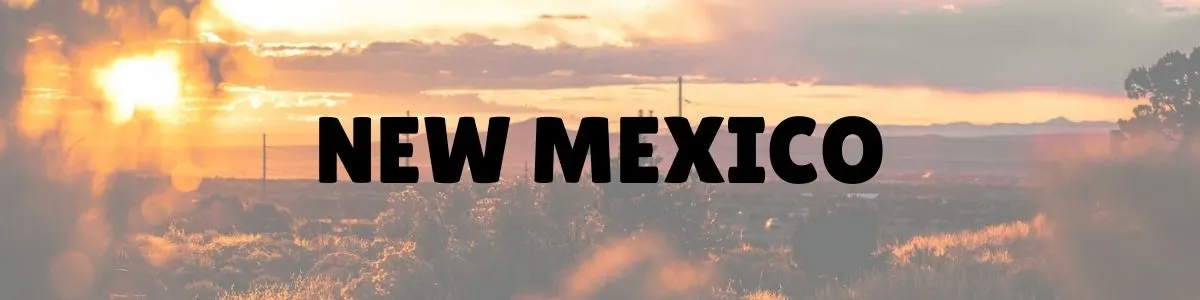 New Mexico