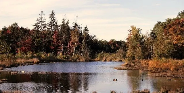 Calvin Ecosystem Preserve & Native Gardens