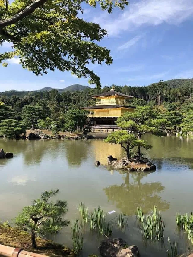 Golden Palace looking as though it is floating on the river