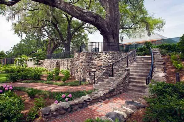 Cummer Museum Gardens with curved stone walkway and steps leading up to an large old tree