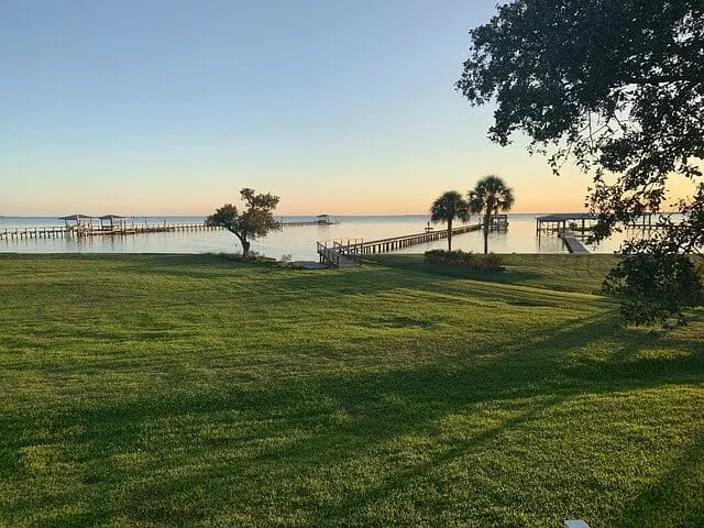 Foreshore at Lake Charles with expansive green grass leafing to a flat lake with a couple trees at the waters edge
