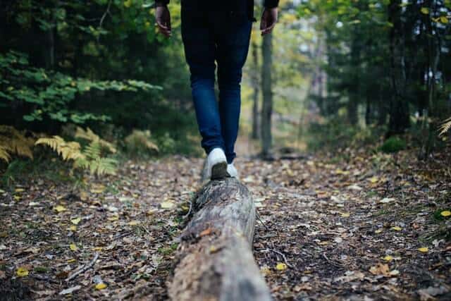 Mans legs wearing white trainers walking along a log in the forrest