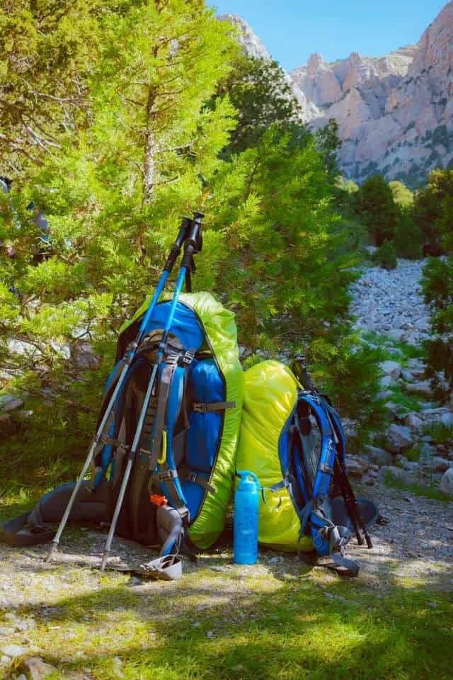 two backpacks standing next to each other, hiking poles leaning on one bag and a water bottle in front of the other, both in front of a green bush