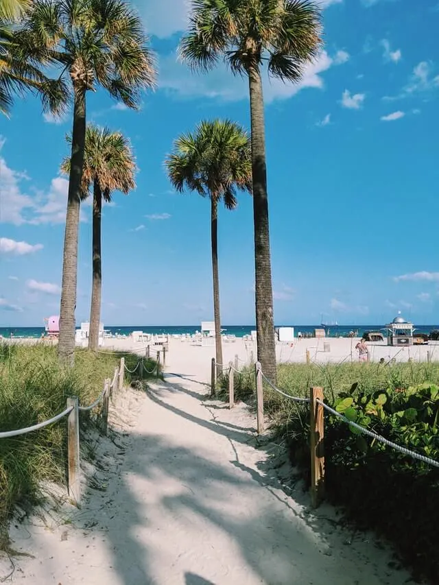 Walkway leading to the beach in Miami