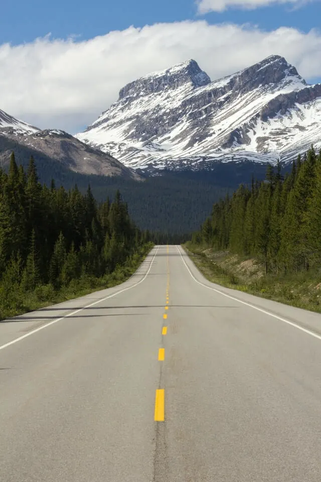 Grey asphalt road flanked by green fir trees heading out into the snow capped mountains