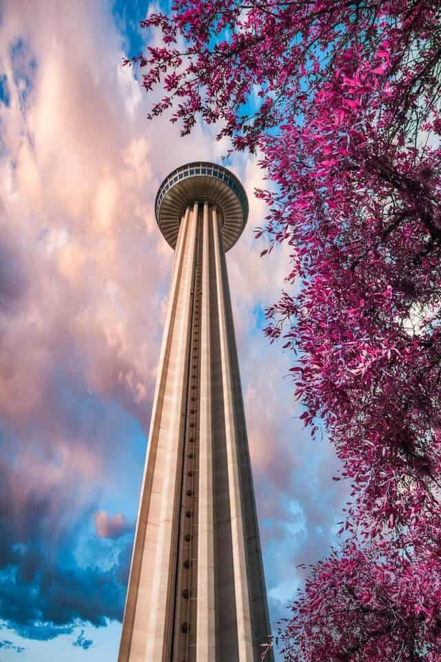 The Tower of Americas next to a flowering tress and under a pink tinged blue and white sky