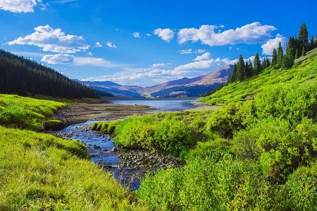 Sunshine Meadows Banff in Summer