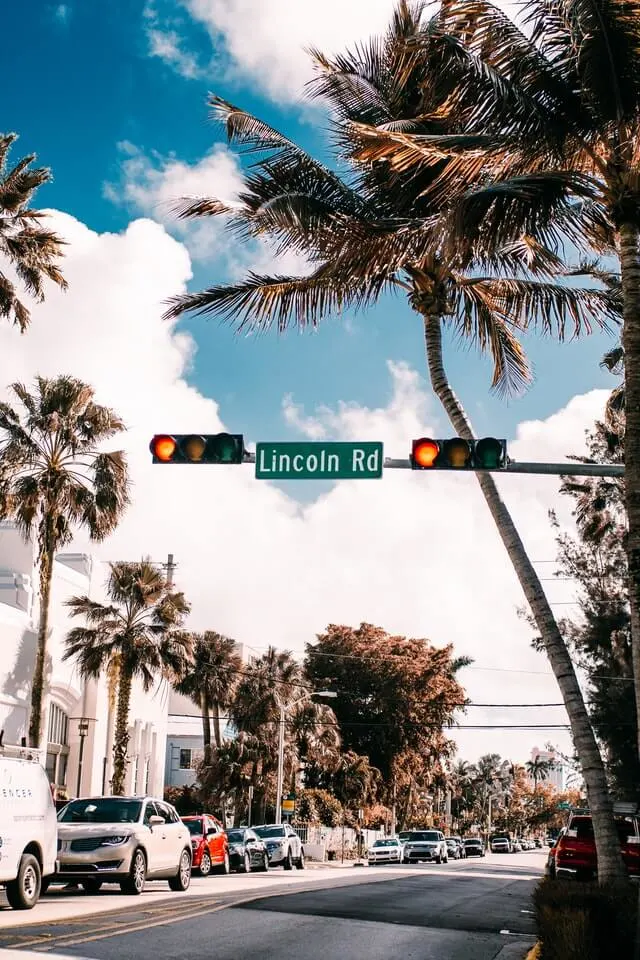 Cars sat in line waiting for the lights to change along the palm tree lined street