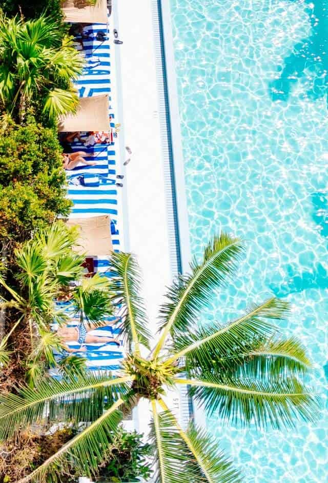 Top down shot of a luxury hotel pool surrounded by palm trees and day beds with blue and white striped covers