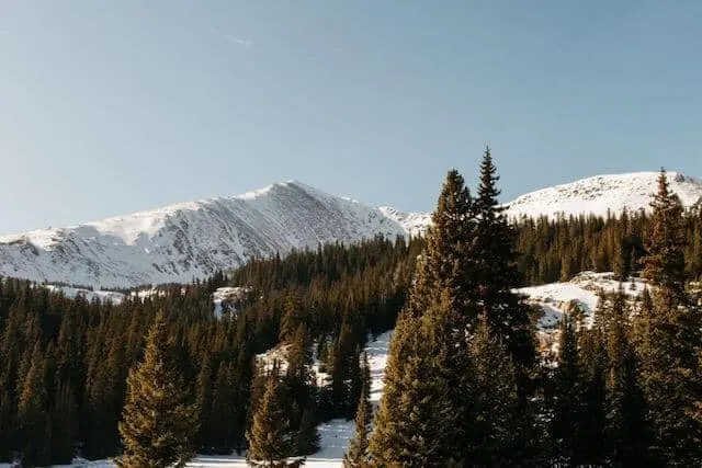 Colorado in Winter - snow covered mountains punctuated by green fir trees with the rocky mountains in the distance