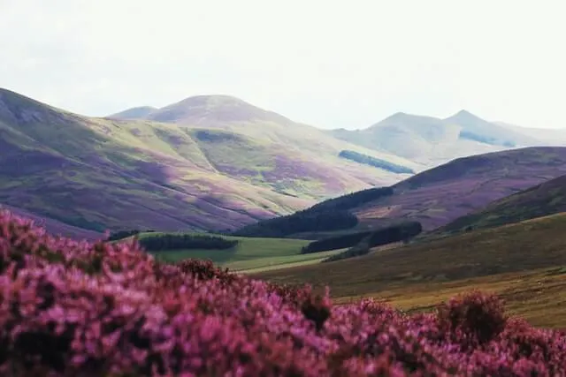 Pentalnd Hills Edinburgh