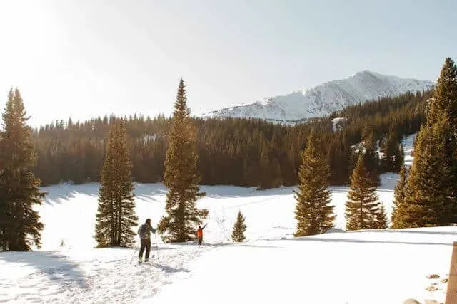 winter camping Colorado USA photo of a snow covered field with two people hiking through the snow between 2 fir trees heading towards the forrest in the distance