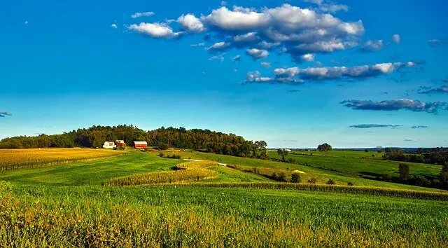 Redbarn building surrounded by green fields under a blue sky in Wisconsin