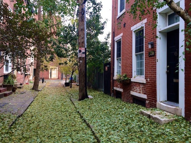 Narrow residential street covered in green fallen leaves in South Philadelphia