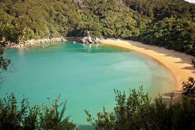 Sandy cresent shaped bay next to blue water surrounded by lush green trees in Abel Tasman National Park