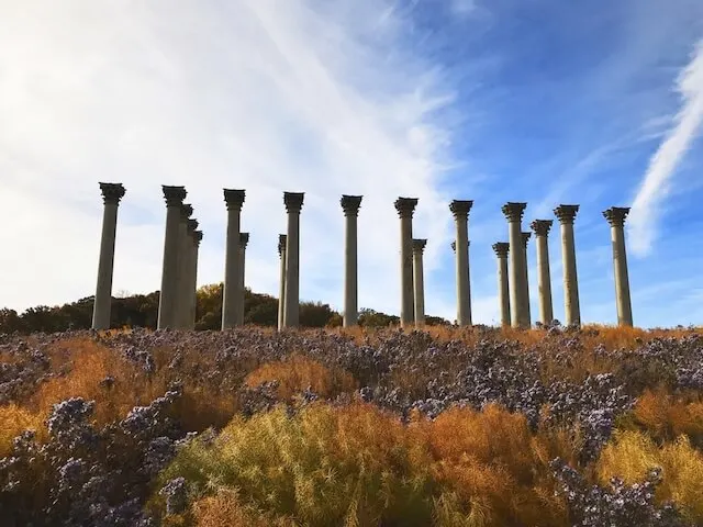 Capitol Columns at the US National Arboretum