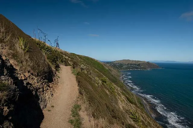 Escarpment track above the ocean below crashing into the rock