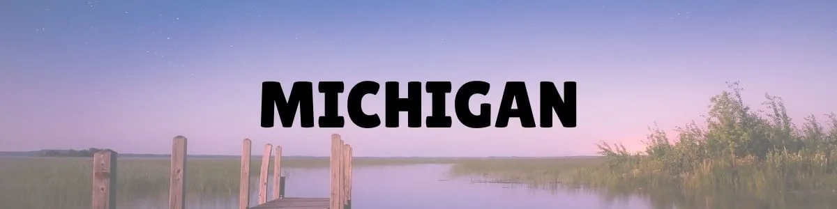 Michigan written in bold black letters across a photo of a lake at sunset