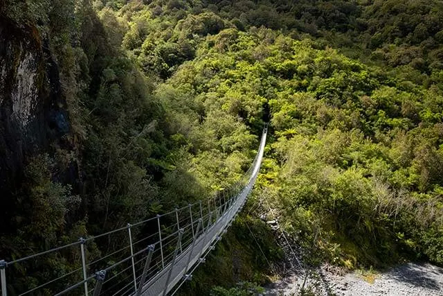 Swing Bridge leading towards green bushland on the other side on the Roberts Point Track