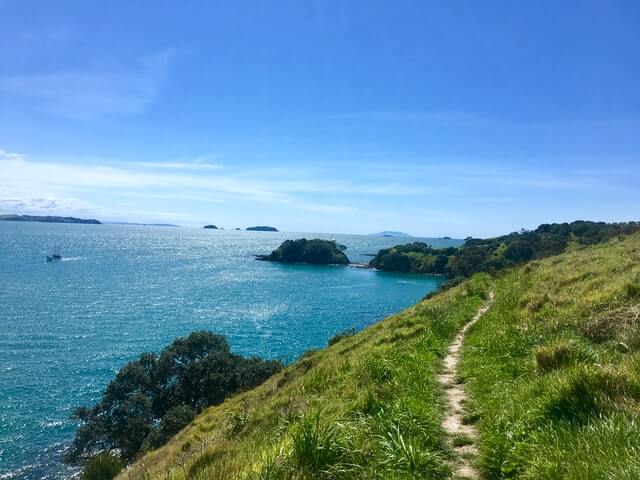 Waiheke Island coastal path along a green bank leading down to the turquoise ocean