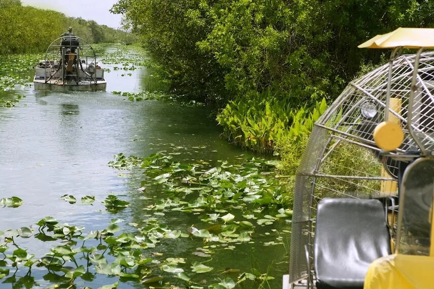 Airboat in Everglades National Park