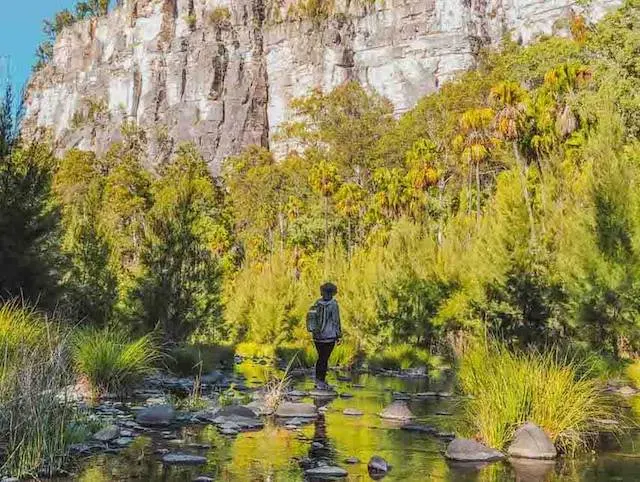 Carnarvon Gorge National Park Queensland