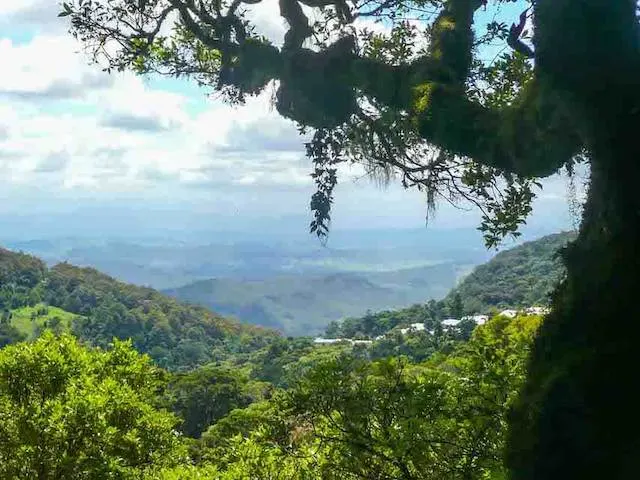 Lamington National park Queensland