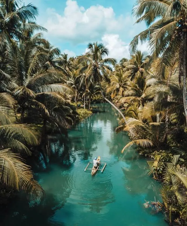Man paddling a wooden canoe on a green channel of water surrounded by palm trees