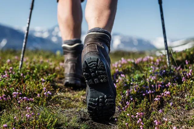 Hiking trail with flowers on the ground, a pair of legs in hiking boots walking away