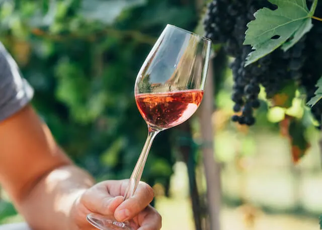 Man holding glass of red wine in vineyard field