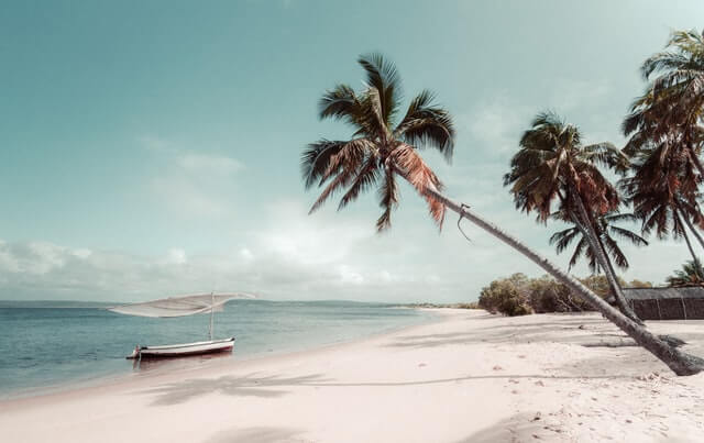Tropical island of Mozambique with whitesand beach and palm tree extending out over the ocean