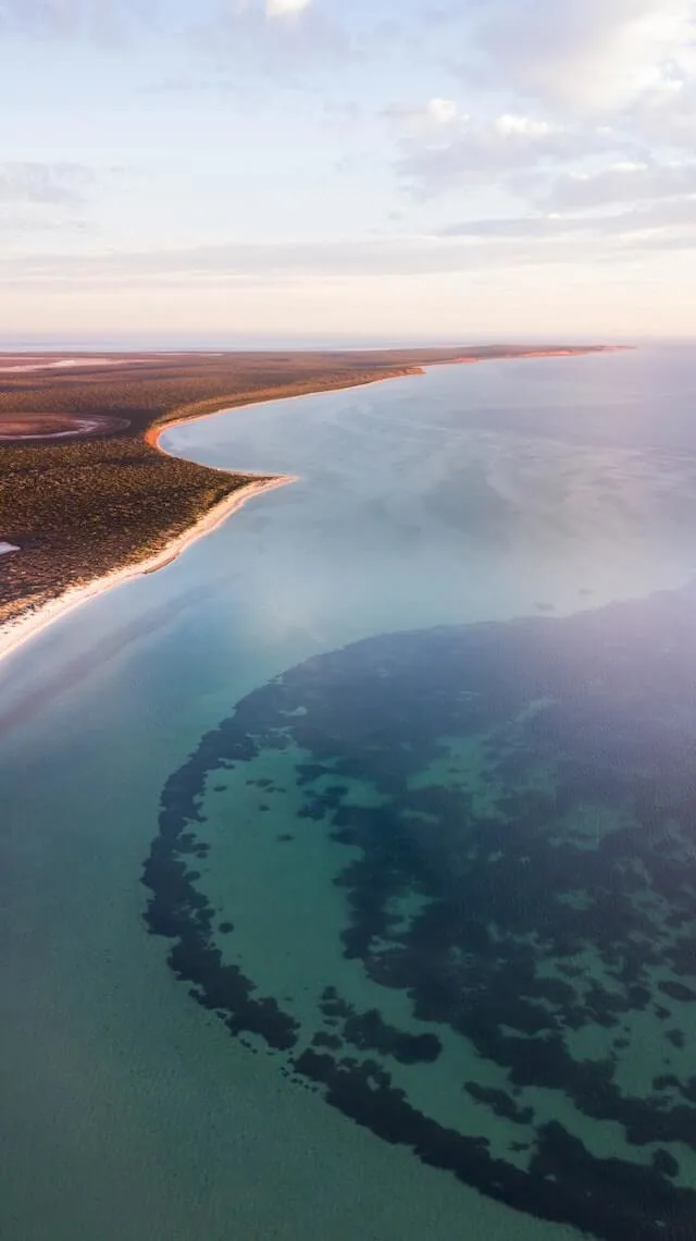 Stunning coastline of Cape Peron, Shark Bay, with flat light blue ocean, the reef off the coast darker in colour