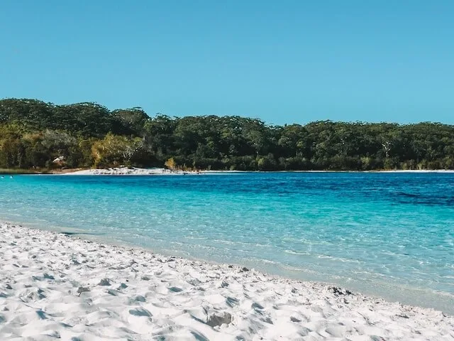 Fraser Island at Lake McKenzie, Queensland