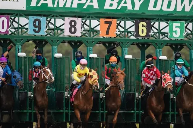 Tampa Bay Downs Starting Gates