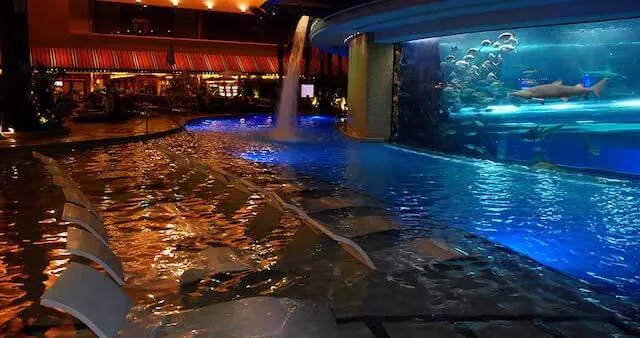 The Tank Shark Pool viewing area at the Golden Nugget