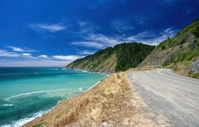 Mendocino coastal road with the ocean on one side and forest on the other