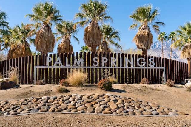 Palm Springs sign surrounded by palm trees