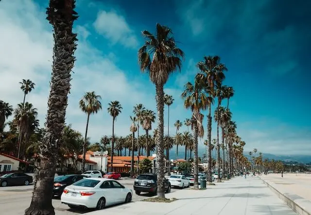 Santa Barbara palm tree lined street, cars parked either side, with the beach on the right