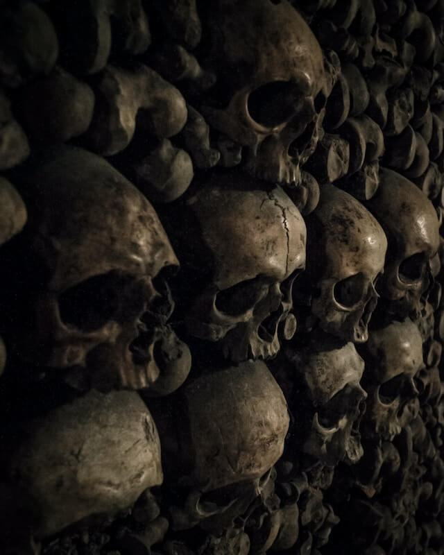 Wall of Skulls in the Catacombs of Paris