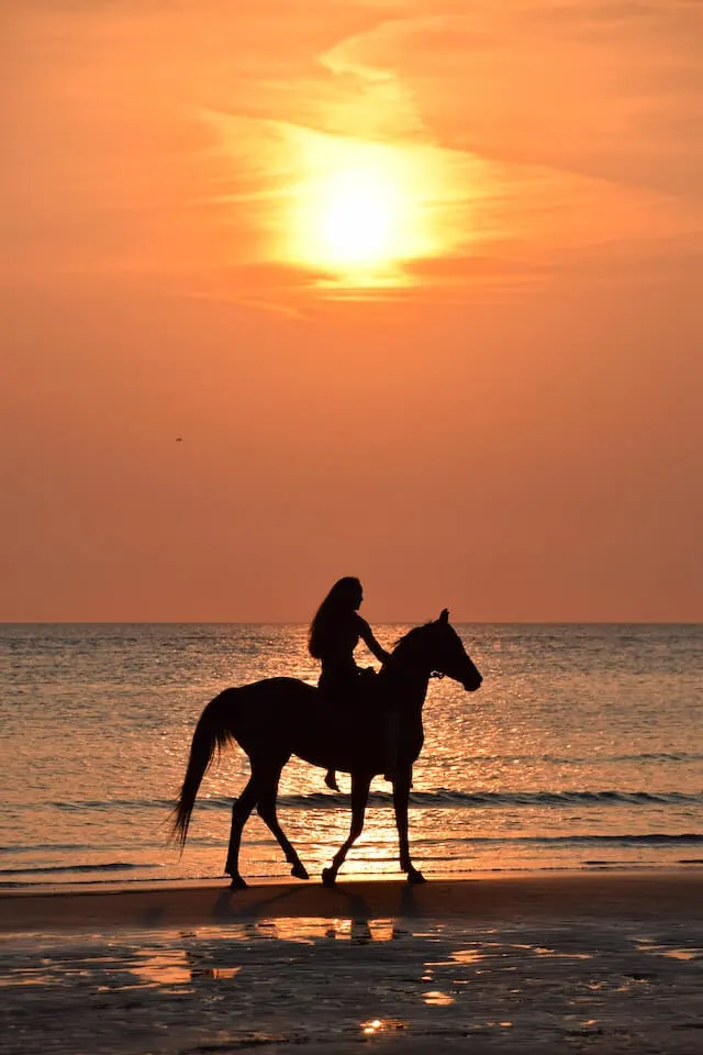Woman horse riding on the beach at sunset