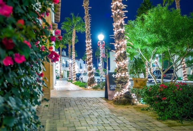 Downtown La Quina in the holiday season, with lights wrapped around the palm tree trunks on the sidewalks