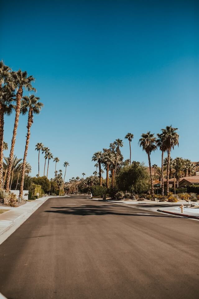 How to get around Palm Springs - an empty road lined with palm trees