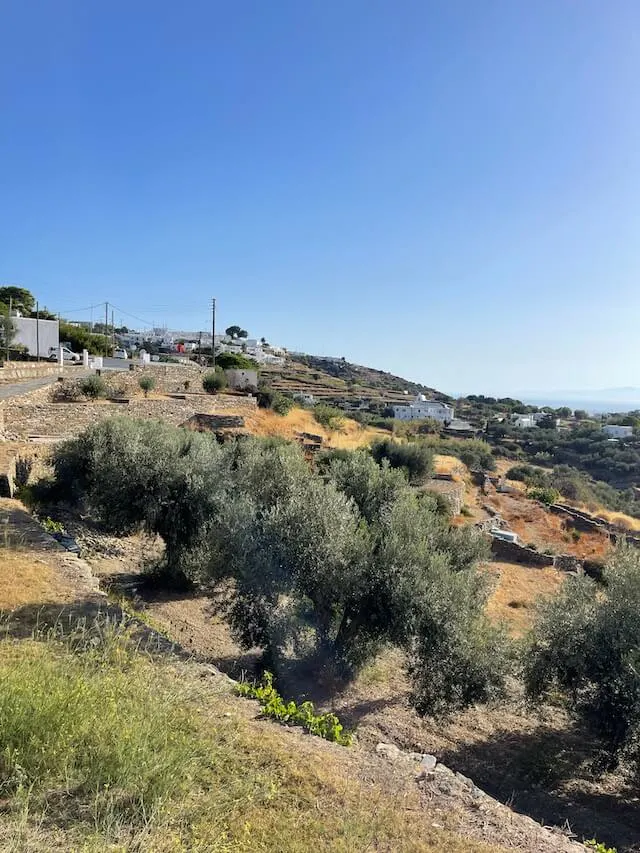 Island Landscape of Sifnos, Greece