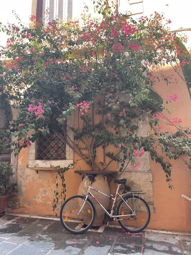 Orange wall, with colourfull flowering plant climbing across, a white bicycle leaning against the wall at the bottom